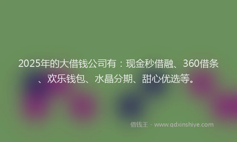 2025年的大借钱公司有：现金秒借融、360借条、欢乐钱包、水晶分期、甜心优选等。