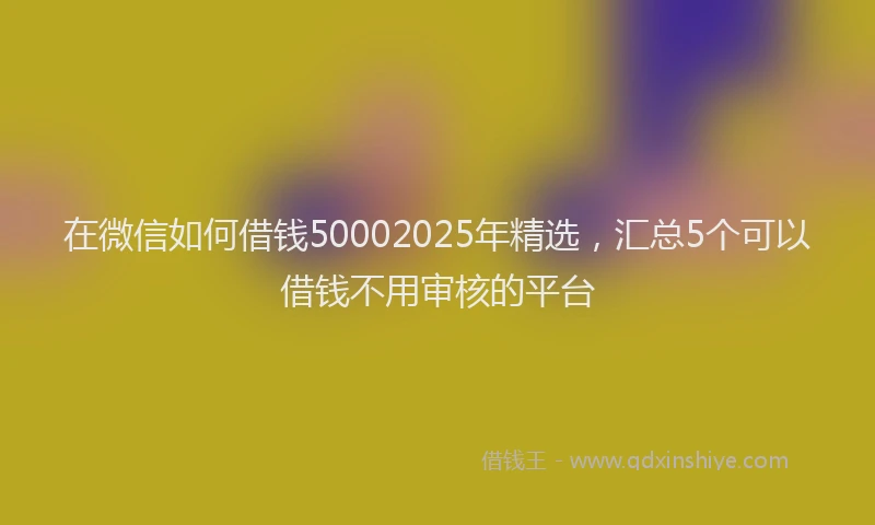 在微信如何借钱50002025年精选，汇总5个可以借钱不用审核的平台