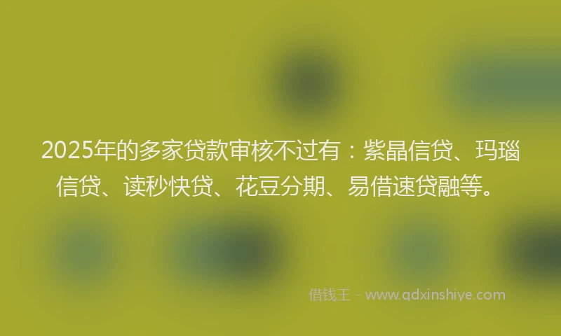 2025年的多家贷款审核不过有:紫晶信贷、玛瑙信贷、读秒快贷、花豆分期、易借速贷融等。