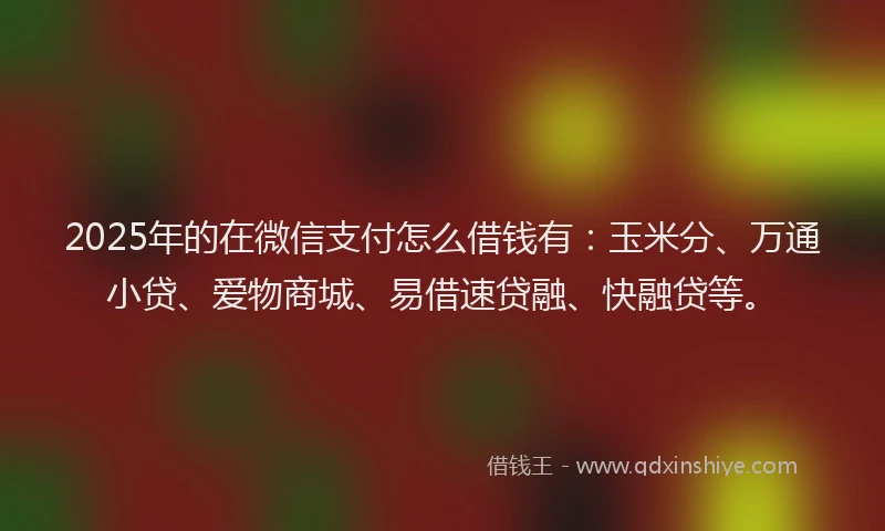 2025年的在微信支付怎么借钱有：玉米分、万通小贷、爱物商城、易借速贷融、快融贷等。