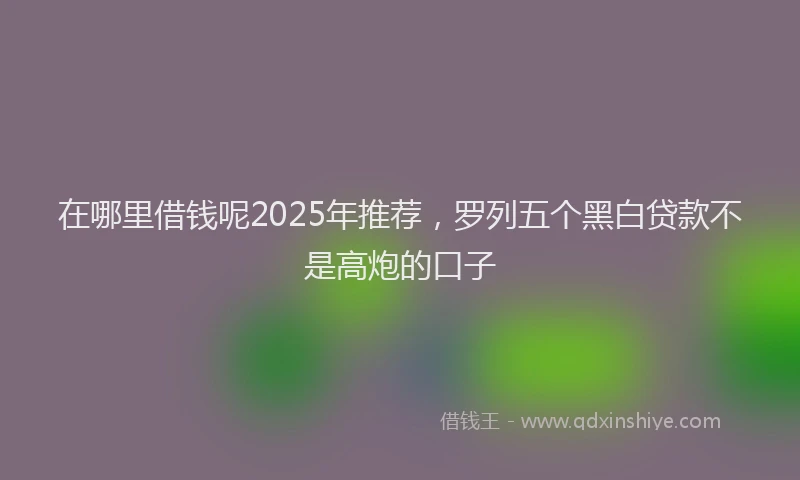 在哪里借钱呢2025年推荐，罗列五个黑白贷款不是高炮的口子
