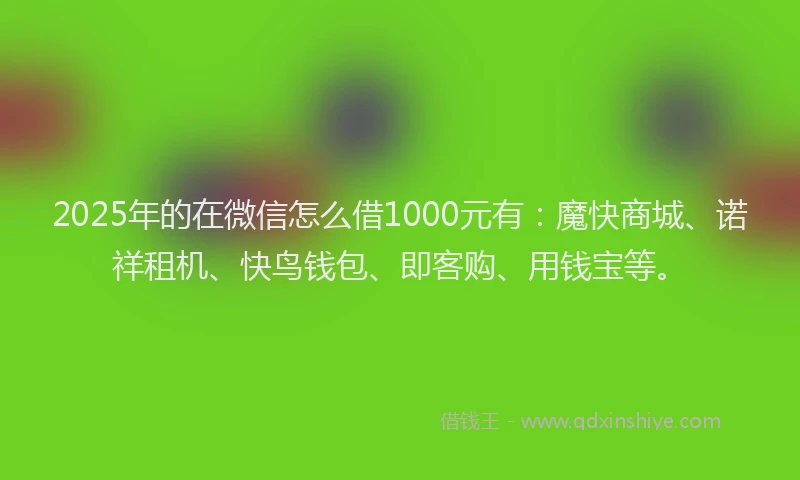 2025年的在微信怎么借1000元有：魔快商城、诺祥租机、快鸟钱包、即客购、用钱宝等。