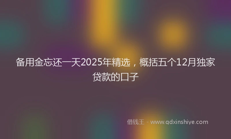 备用金忘还一天2025年精选，概括五个12月独家贷款的口子