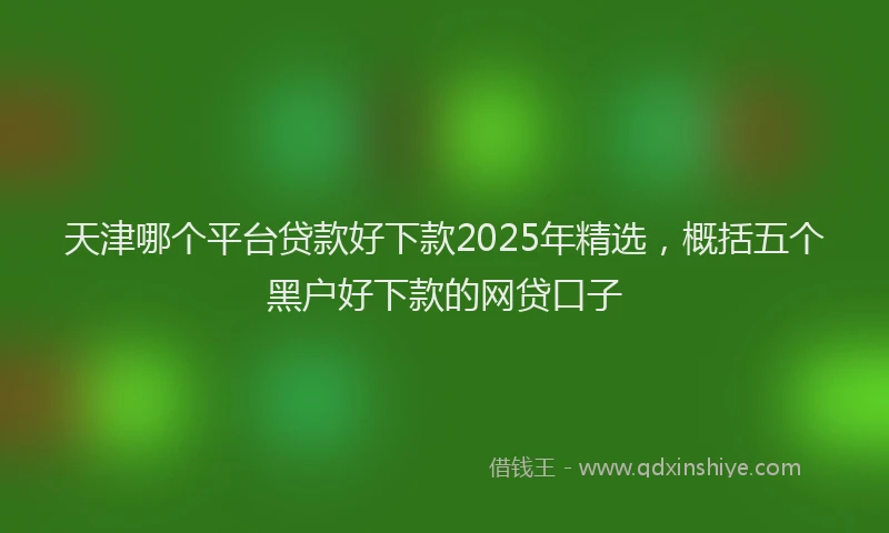 天津哪个平台贷款好下款2025年精选，概括五个黑户好下款的网贷口子