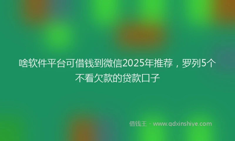 啥软件平台可借钱到微信2025年推荐，罗列5个不看欠款的贷款口子