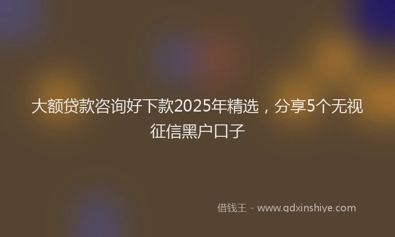 大额贷款咨询好下款2025年精选，分享5个无视征信黑户口子