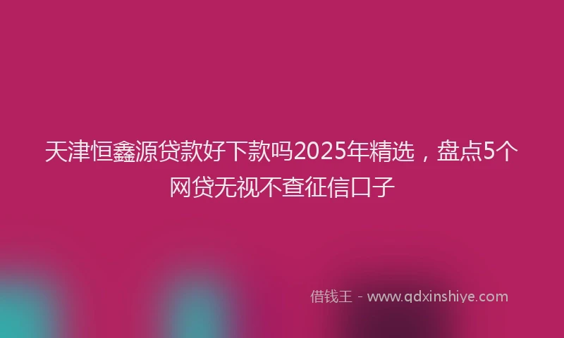 天津恒鑫源贷款好下款吗2025年精选，盘点5个网贷无视不查征信口子