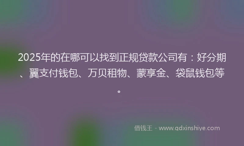 2025年的在哪可以找到正规贷款公司有：好分期、翼支付钱包、万贝租物、蒙享金、袋鼠钱包等。