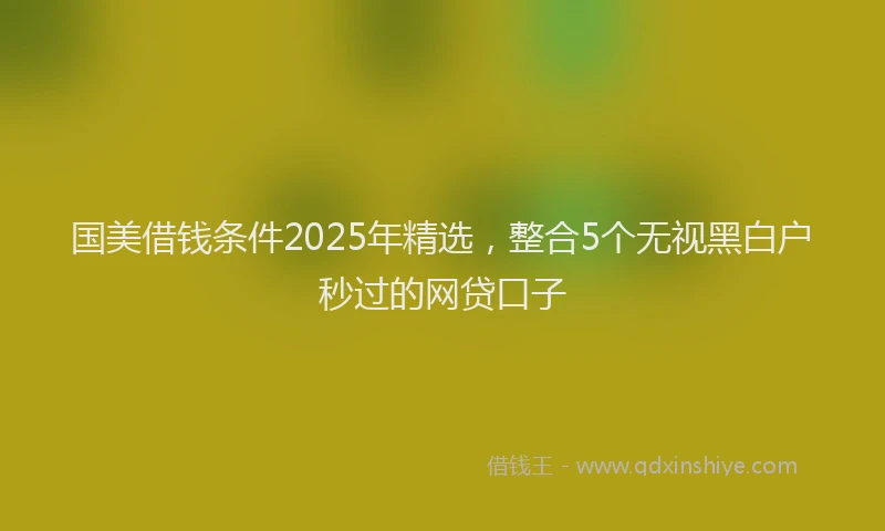 国美借钱条件2025年精选，整合5个无视黑白户秒过的网贷口子