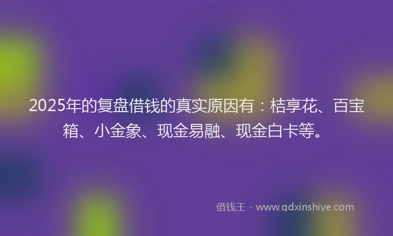 2025年的复盘借钱的真实原因有：桔享花、百宝箱、小金象、现金易融、现金白卡等。
