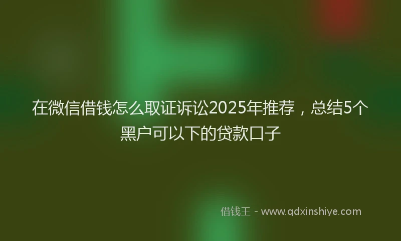 在微信借钱怎么取证诉讼2025年推荐，总结5个黑户可以下的贷款口子