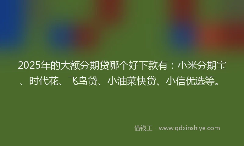 2025年的大额分期贷哪个好下款有：小米分期宝、时代花、飞鸟贷、小油菜快贷、小信优选等。