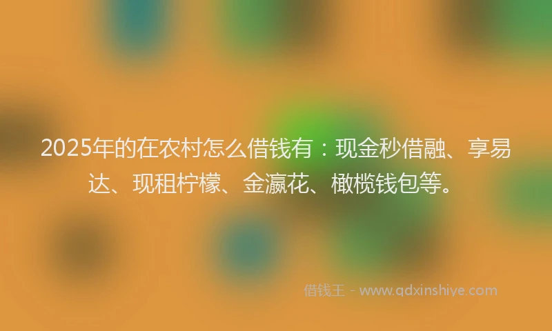 2025年的在农村怎么借钱有：现金秒借融、享易达、现租柠檬、金瀛花、橄榄钱包等。