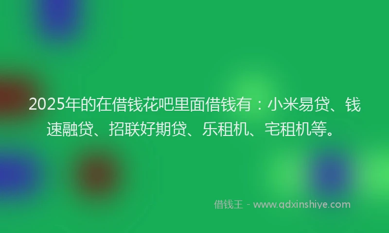 2025年的在借钱花吧里面借钱有：小米易贷、钱速融贷、招联好期贷、乐租机、宅租机等。