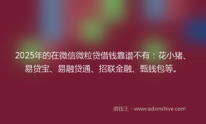 2025年的在微信微粒贷借钱靠谱不有：花小猪、易贷宝、易融贷通、招联金融、甄钱包等。