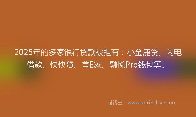 2025年的多家银行贷款被拒有：小金鹿贷、闪电借款、快快贷、首E家、融悦Pro钱包等。