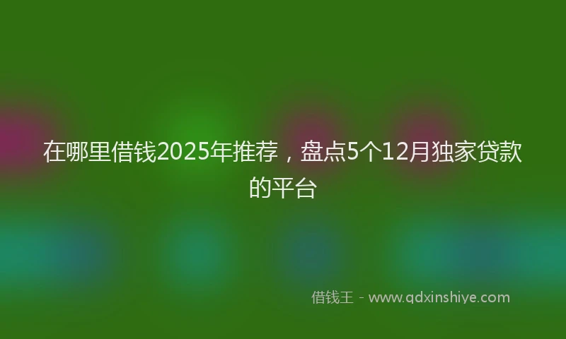 在哪里借钱2025年推荐，盘点5个12月独家贷款的平台