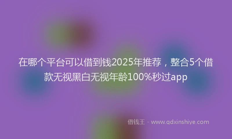 在哪个平台可以借到钱2025年推荐，整合5个借款无视黑白无视年龄100%秒过app