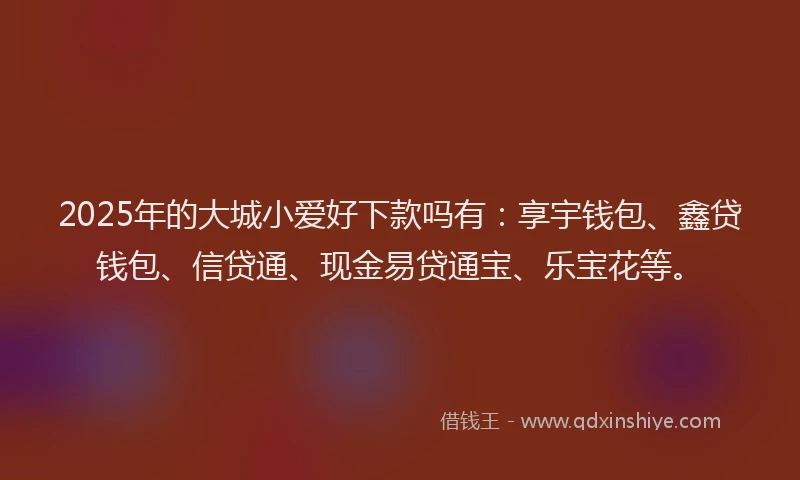 2025年的大城小爱好下款吗有：享宇钱包、鑫贷钱包、信贷通、现金易贷通宝、乐宝花等。