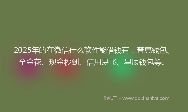 2025年的在微信什么软件能借钱有：普惠钱包、全金花、现金秒到、信用易飞、星辰钱包等。