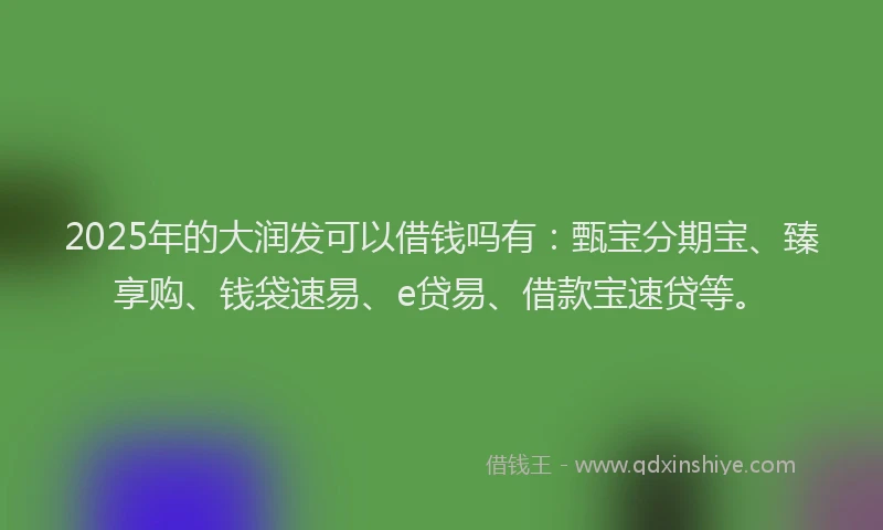 2025年的大润发可以借钱吗有：甄宝分期宝、臻享购、钱袋速易、e贷易、借款宝速贷等。