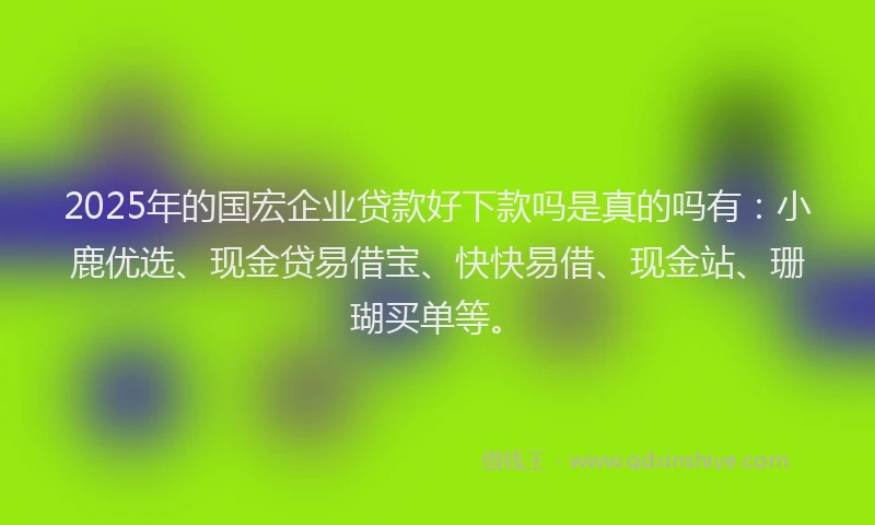 2025年的国宏企业贷款好下款吗是真的吗有：小鹿优选、现金贷易借宝、快快易借、现金站、珊瑚买单等。