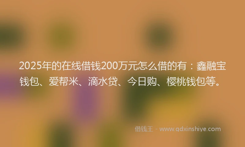 2025年的在线借钱200万元怎么借的有：鑫融宝钱包、爱帮米、滴水贷、今日购、樱桃钱包等。