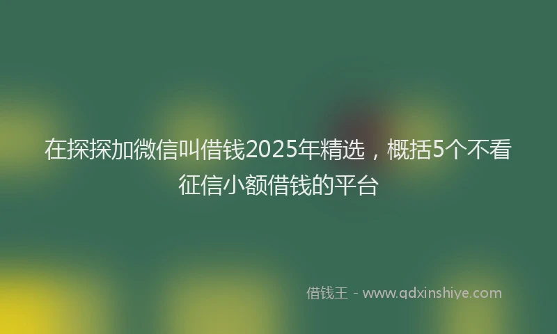 在探探加微信叫借钱2025年精选，概括5个不看征信小额借钱的平台
