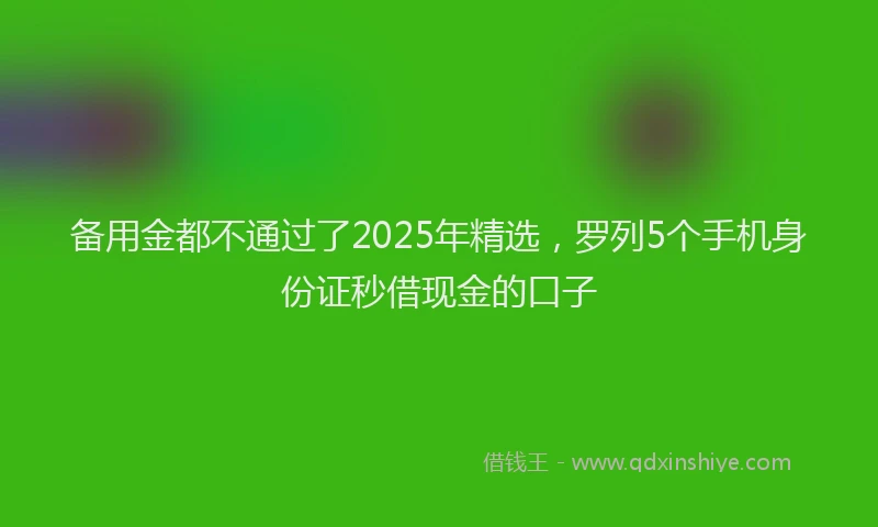 备用金都不通过了2025年精选,罗列5个手机身份证秒借现金的口子
