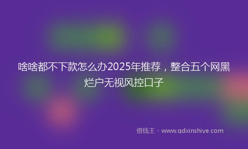 啥啥都不下款怎么办2025年推荐，整合五个网黑烂户无视风控口子