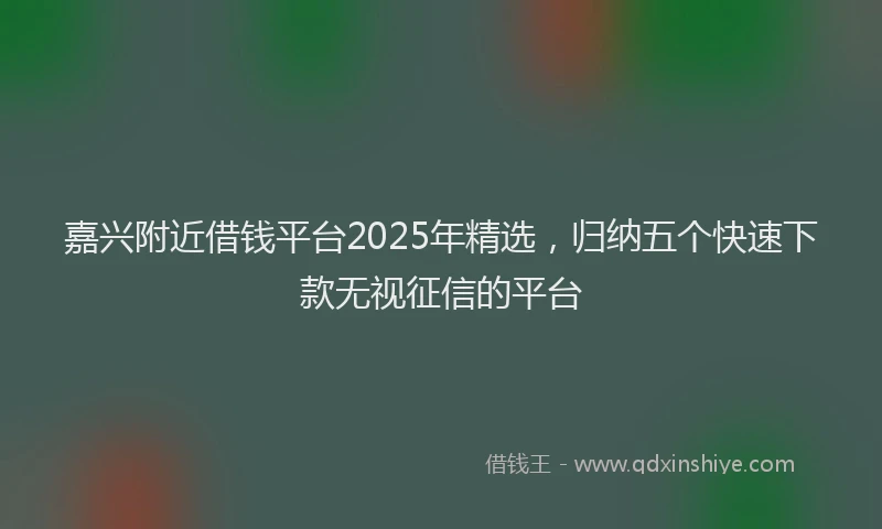 嘉兴附近借钱平台2025年精选，归纳五个快速下款无视征信的平台