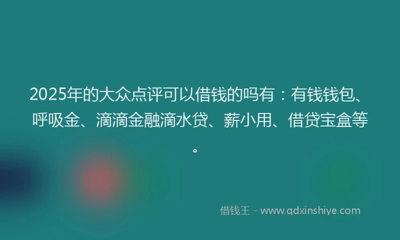 2025年的大众点评可以借钱的吗有：有钱钱包、呼吸金、滴滴金融滴水贷、薪小用、借贷宝盒等。