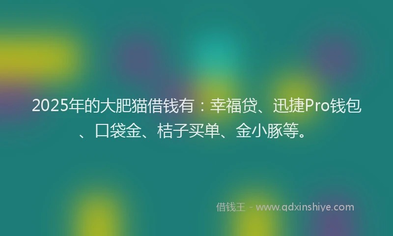 2025年的大肥猫借钱有：幸福贷、迅捷Pro钱包、口袋金、桔子买单、金小豚等。