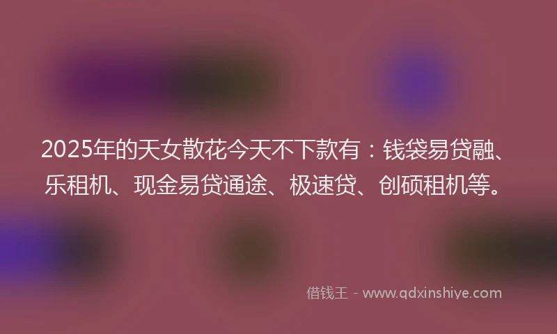 2025年的天女散花今天不下款有：钱袋易贷融、乐租机、现金易贷通途、极速贷、创硕租机等。