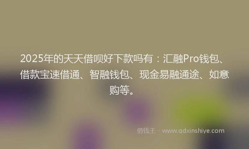 2025年的天天借呗好下款吗有：汇融Pro钱包、借款宝速借通、智融钱包、现金易融通途、如意购等。