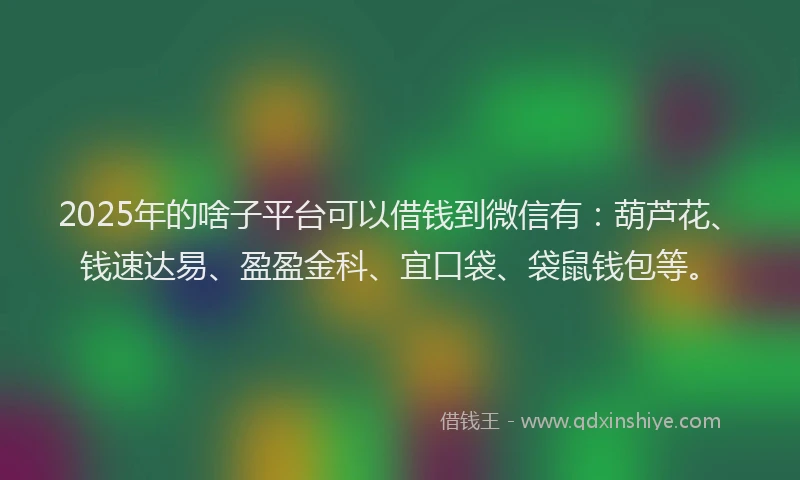 2025年的啥子平台可以借钱到微信有：葫芦花、钱速达易、盈盈金科、宜口袋、袋鼠钱包等。
