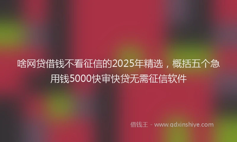 啥网贷借钱不看征信的2025年精选，概括五个急用钱5000快审快贷无需征信软件