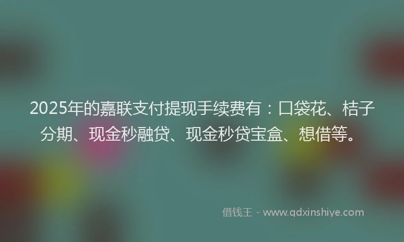 2025年的嘉联支付提现手续费有：口袋花、桔子分期、现金秒融贷、现金秒贷宝盒、想借等。