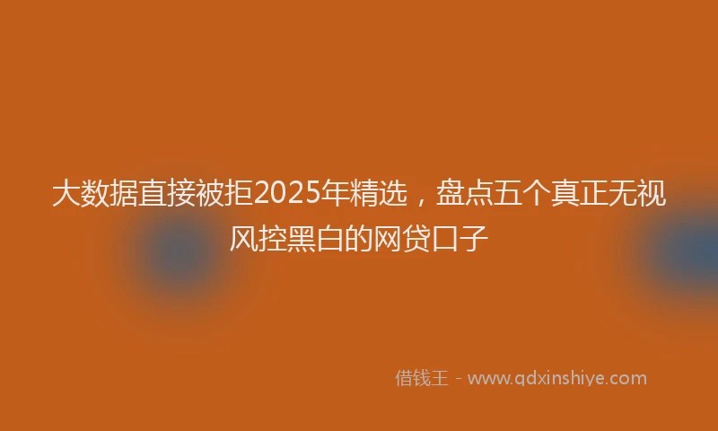 大数据直接被拒2025年精选，盘点五个真正无视风控黑白的网贷口子
