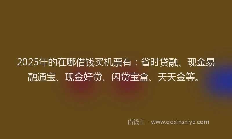 2025年的在哪借钱买机票有:省时贷融、现金易融通宝、现金好贷、闪贷宝盒、天天金等。