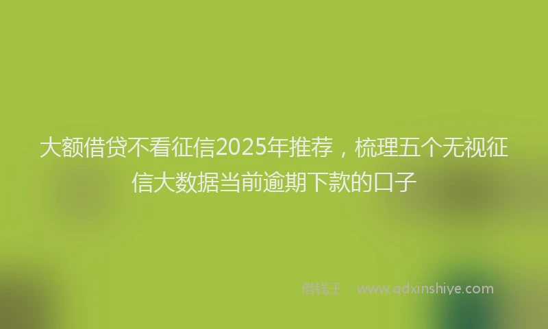 大额借贷不看征信2025年推荐，梳理五个无视征信大数据当前逾期下款的口子