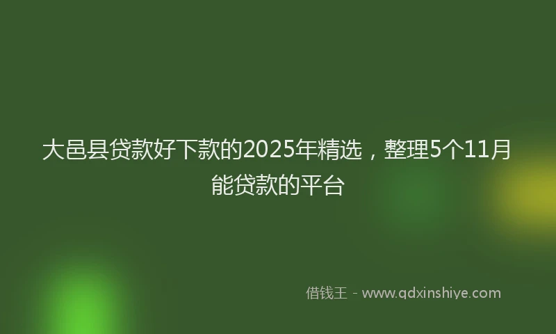 大邑县贷款好下款的2025年精选，整理5个11月能贷款的平台