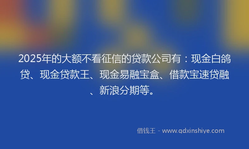 2025年的大额不看征信的贷款公司有：现金白鸽贷、现金贷款王、现金易融宝盒、借款宝速贷融、新浪分期等。