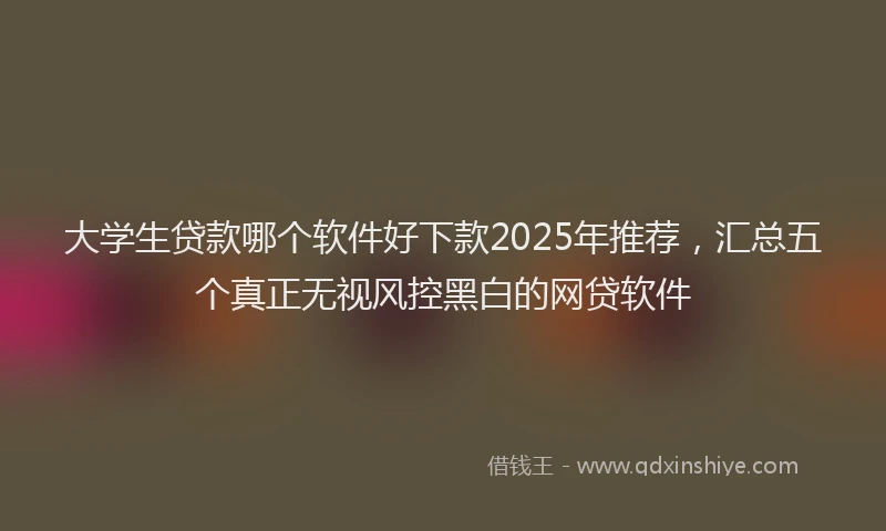 大学生贷款哪个软件好下款2025年推荐，汇总五个真正无视风控黑白的网贷软件