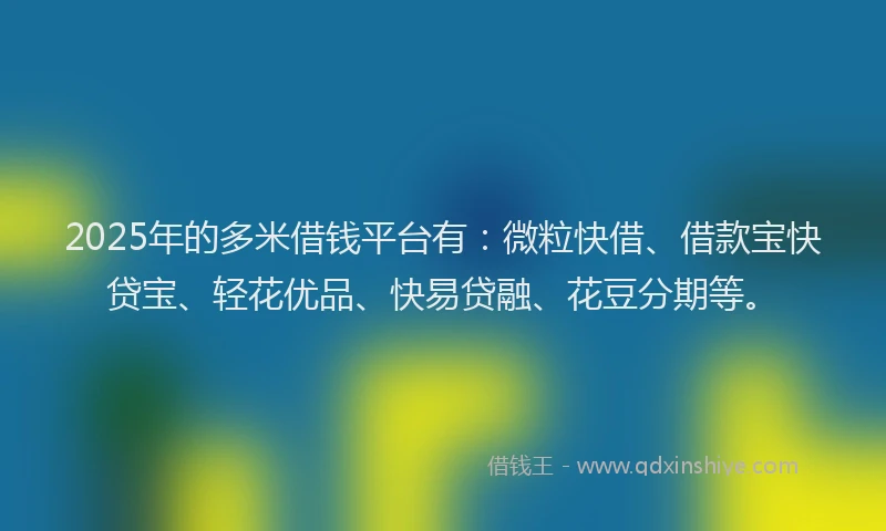 2025年的多米借钱平台有：微粒快借、借款宝快贷宝、轻花优品、快易贷融、花豆分期等。