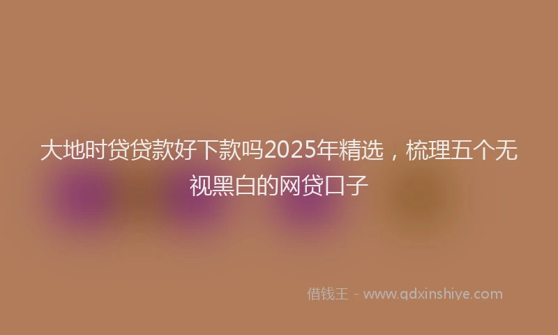 大地时贷贷款好下款吗2025年精选，梳理五个无视黑白的网贷口子