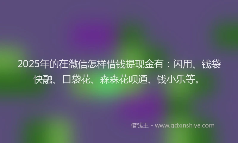 2025年的在微信怎样借钱提现金有：闪用、钱袋快融、口袋花、森森花呗通、钱小乐等。