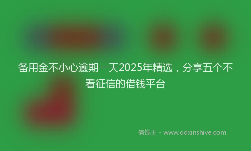备用金不小心逾期一天2025年精选，分享五个不看征信的借钱平台