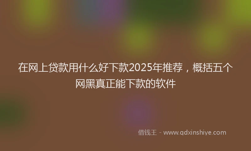 在网上贷款用什么好下款2025年推荐，概括五个网黑真正能下款的软件