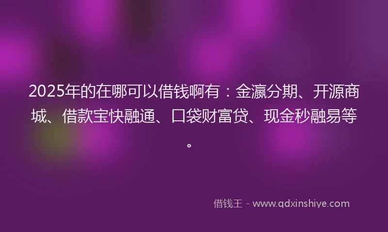 2025年的在哪可以借钱啊有：金瀛分期、开源商城、借款宝快融通、口袋财富贷、现金秒融易等。